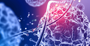 What Is Stem Cells Hair Transplant?