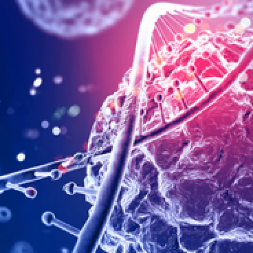 What Is Stem Cells Hair Transplant?
